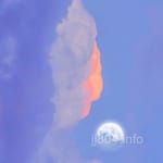 Avatar of Saira Mirza